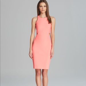 ELIZABETH AND JAMES Dress